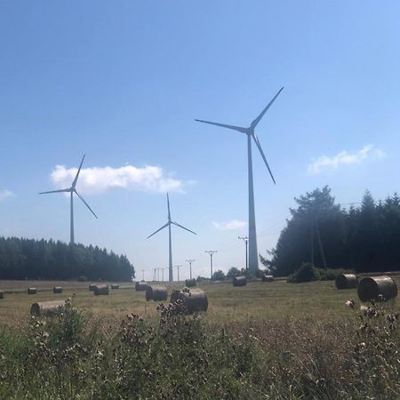 Ubytování Háj Sokolov Esterno foto