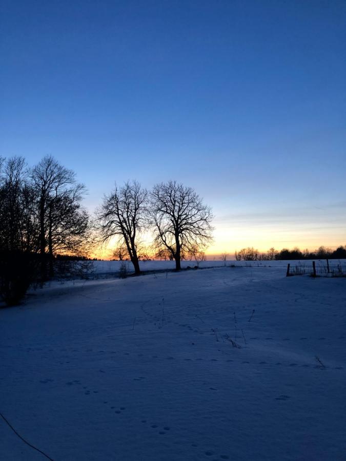 Ubytování Háj Sokolov Esterno foto